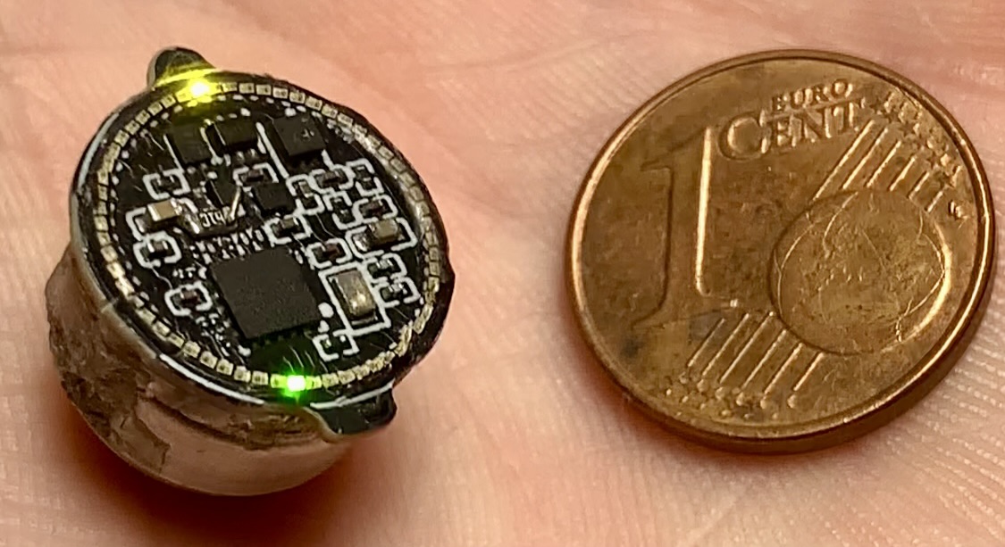 Working Pace v3 held beside a euro one-cent coin